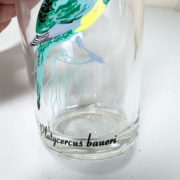 VTG 60’s Kig Malaysia Exotic Tropical Bird Glasses Set of 6 - Picture 11 of 14
